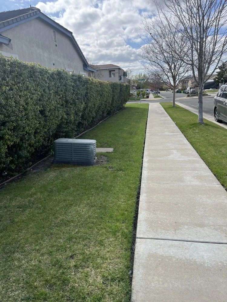 Top-rated yard cleanup service near you in Stockton, CA by Tees Lawn Care