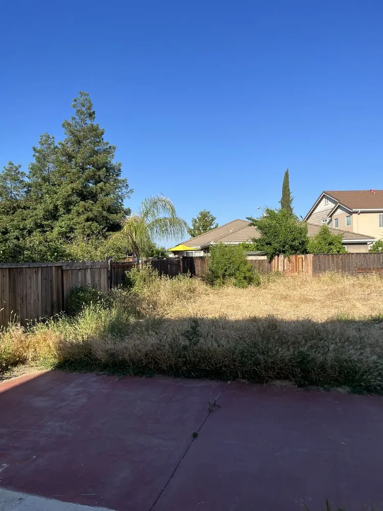 Trusted lawn care service in Stockton, CA by Tees Lawn Care