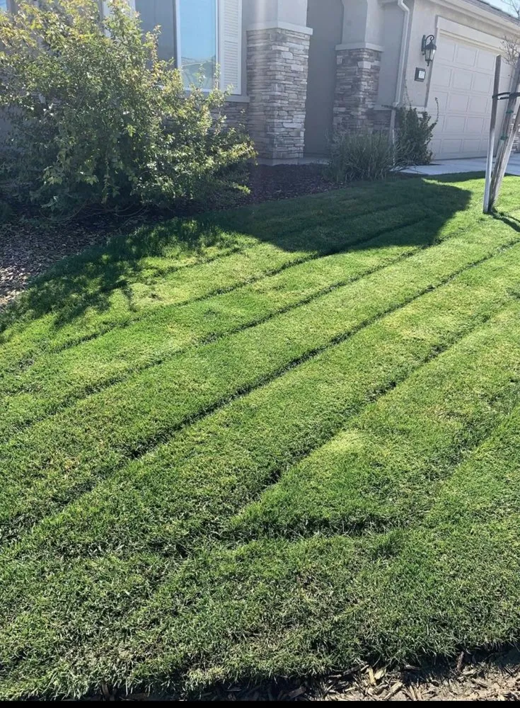 Expert lawn mowing service in Stockton, CA by Tees Lawn Care