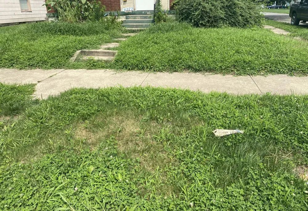 Affordable landscaping services experts serving Terre Haute, IN - Tees Lawn Service