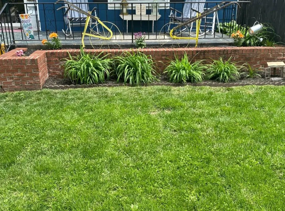 Top-rated residential landscaping in Terre Haute, IN - Tees Lawn Service