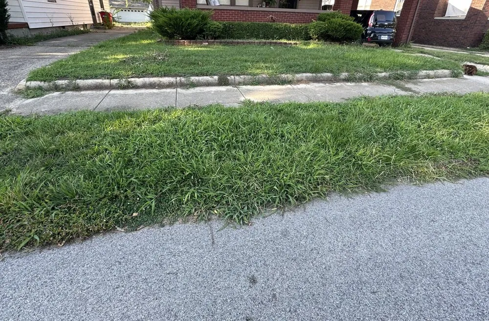 Local landscape installation experts serving Terre Haute, IN - Tees Lawn Service