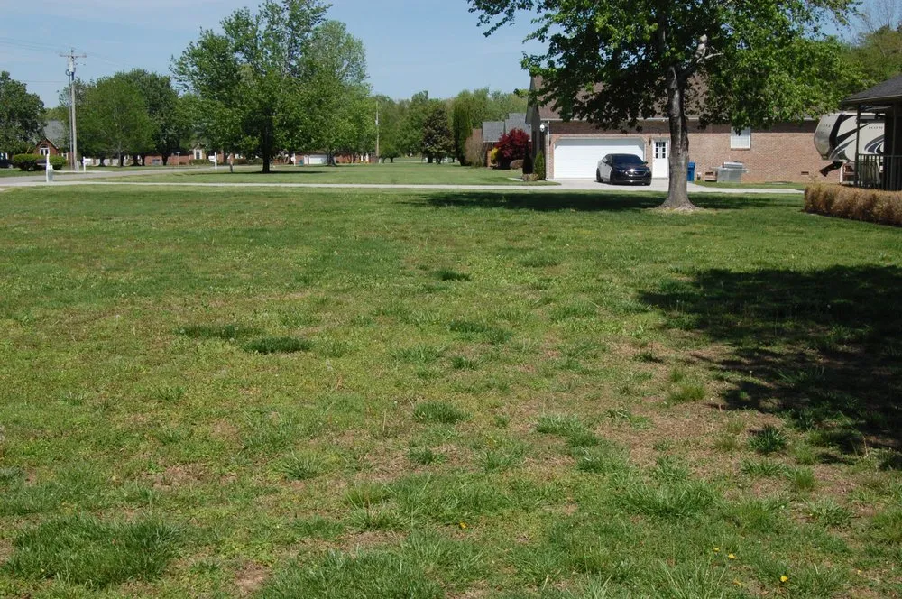 Trusted residential landscaping near you across Manchester, TN - Tee's mobile services