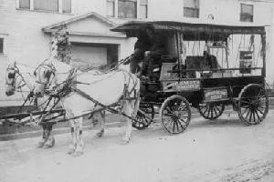 Custom residential landscaping near you across Novato, CA - Tefra Maintenance