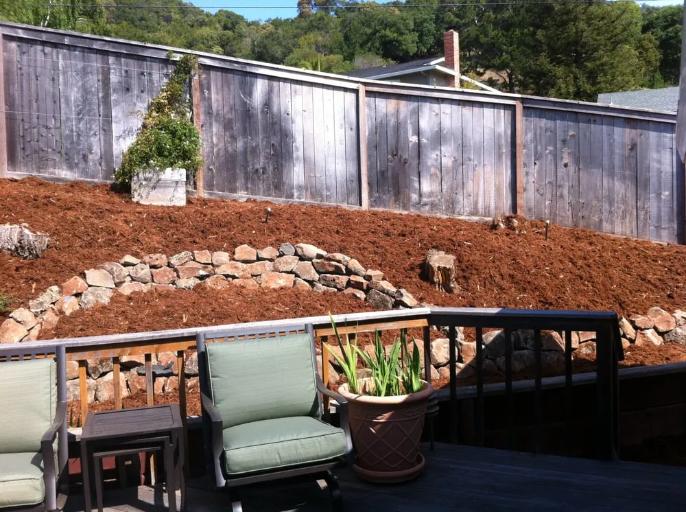 Trusted lawn mowing service in Novato, CA - Tefra Maintenance