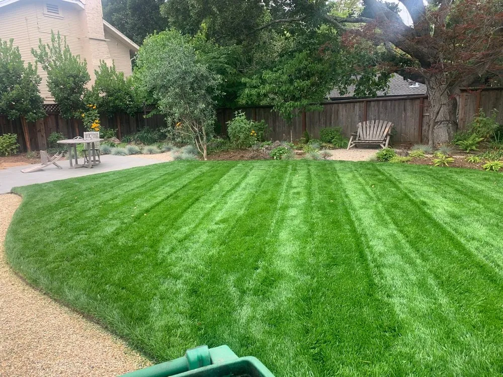 Custom yard cleanup service in Novato, CA by Tefra Maintenance