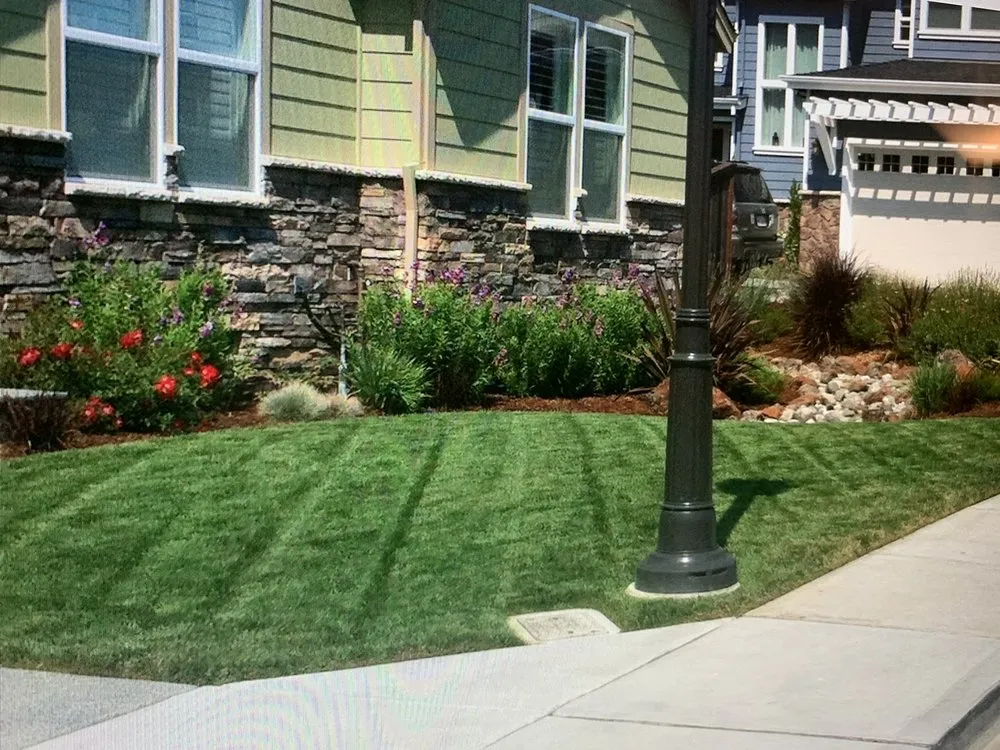 Affordable residential landscaping for beautiful yards in Novato, CA by Tefra Maintenance