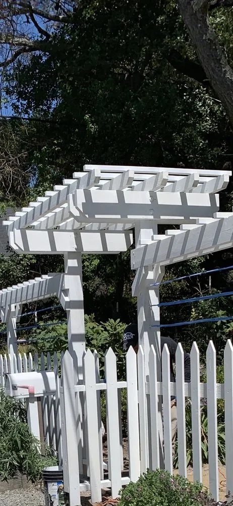 Expert outdoor landscaping for beautiful yards in Novato, CA by Tefra Maintenance