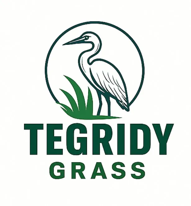 Reliable yard cleanup service for homes in Darien, GA by Tegridy Grass