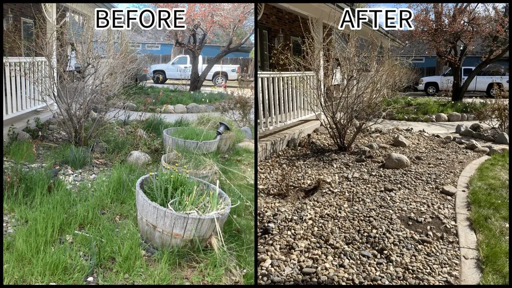 Affordable yard maintenance in Reno, NV by Tegrity Lawn Care