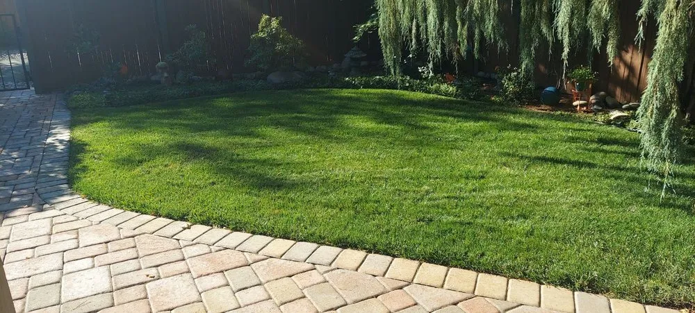 Reliable yard cleanup service in Reno, NV by Tegrity Lawn Care