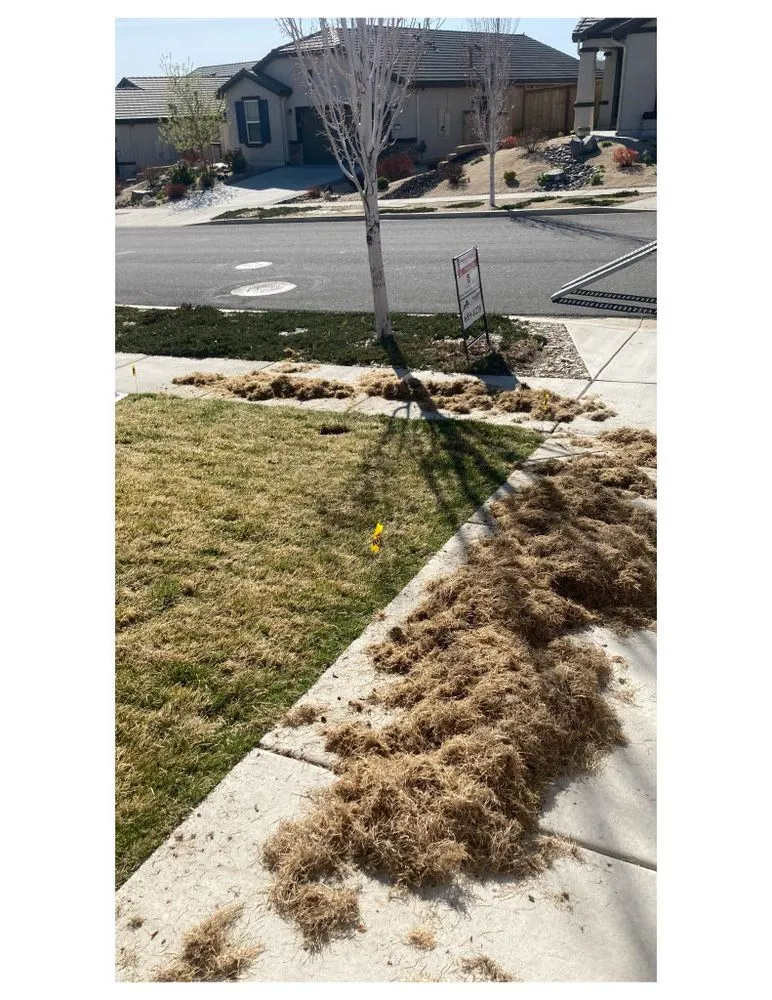 Top-rated yard cleanup service for residential properties in Reno, NV by Tegrity Lawn Care
