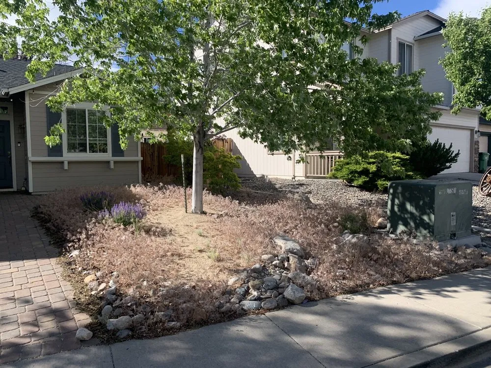 Trusted landscaping services near you across Reno, NV - Tegrity Lawn Care