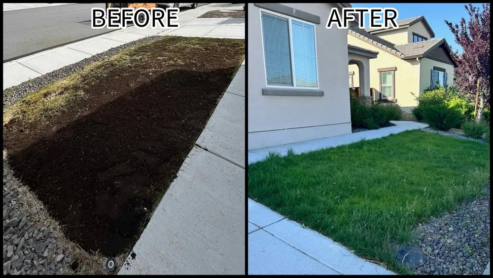 Expert lawn mowing service for homes in Reno, NV by Tegrity Lawn Care