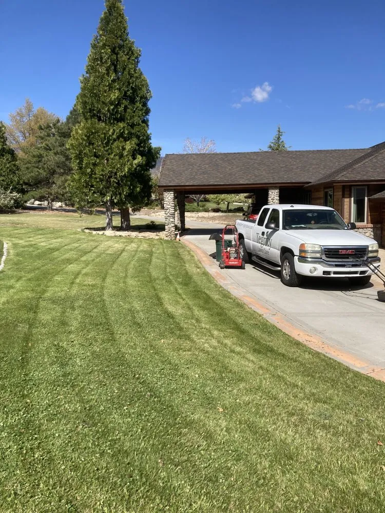 Custom yard maintenance experts serving Reno, NV - Tegrity Lawn Care