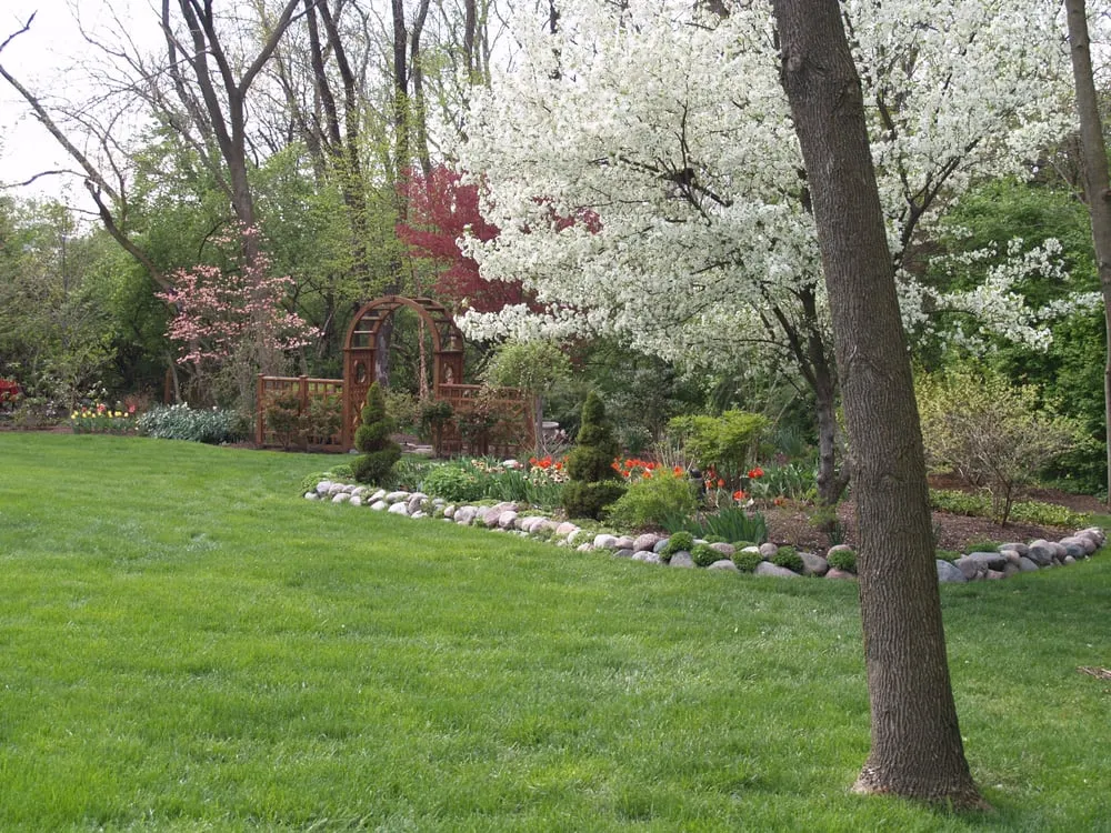 Trusted landscape design for outdoor upgrades across Breese, IL - Tehandon Landscapes & Trees