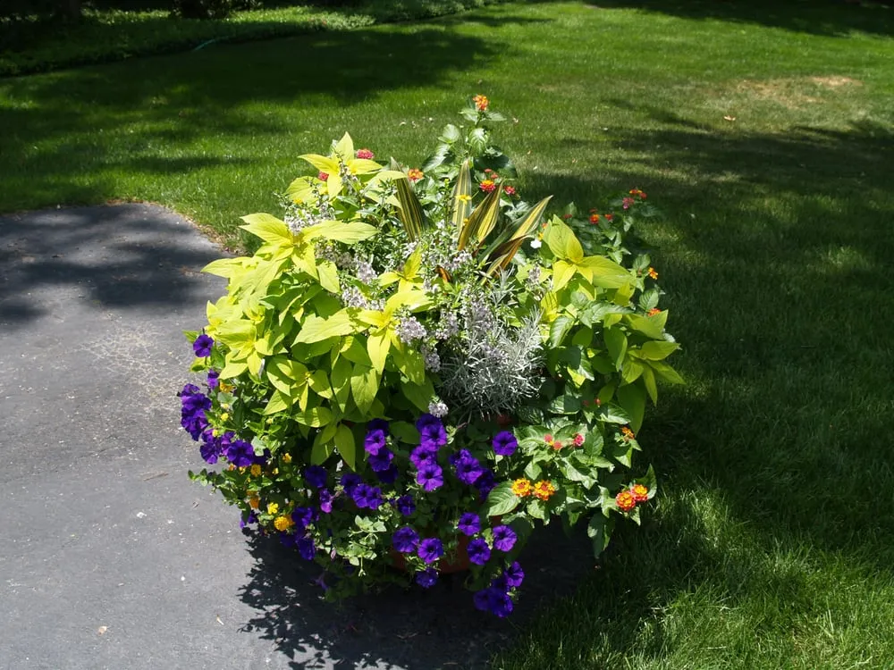 Custom landscaping services for homes in Breese, IL by Tehandon Landscapes & Trees