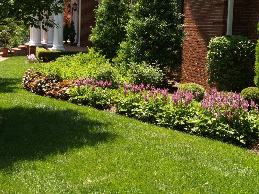Local yard maintenance with custom design across Breese, IL - Tehandon Landscapes & Trees