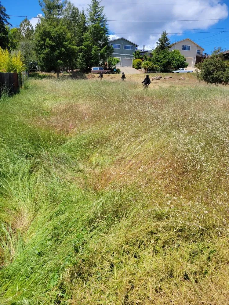 Custom yard maintenance in Lower Lake, CA by Teixeira & Sons Fire Prevention Company