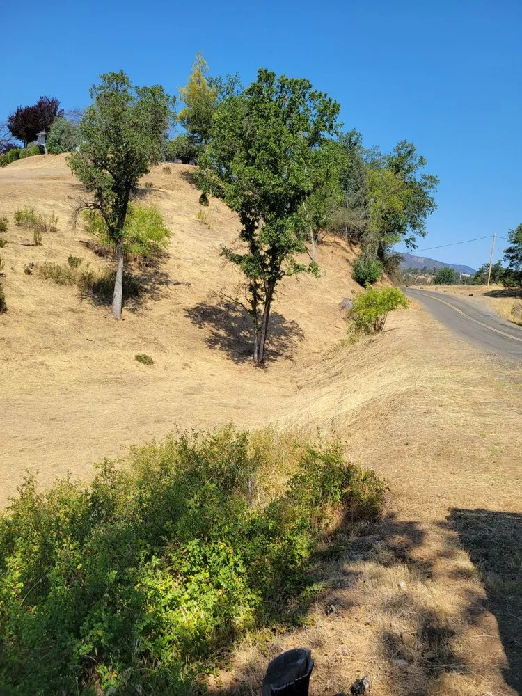 Trusted lawn mowing service in Lower Lake, CA by Teixeira & Sons Fire Prevention Company