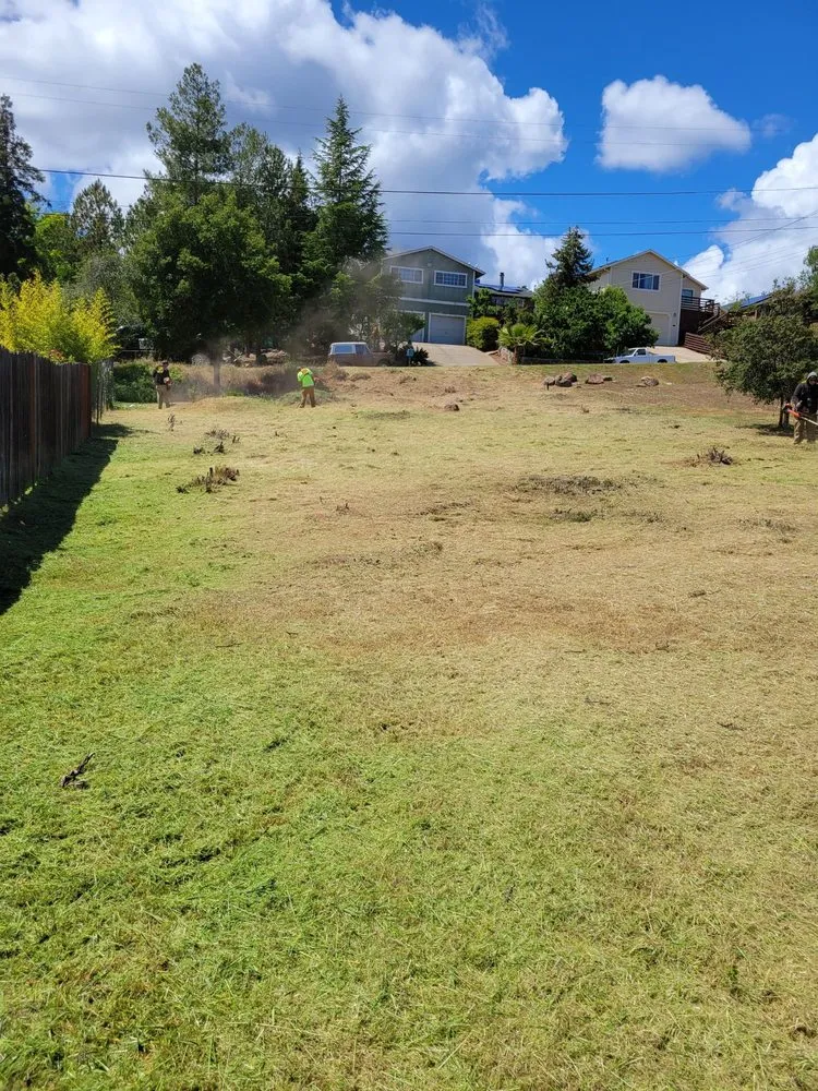 Trusted garden landscaping in Lower Lake, CA - Teixeira & Sons Fire Prevention Company