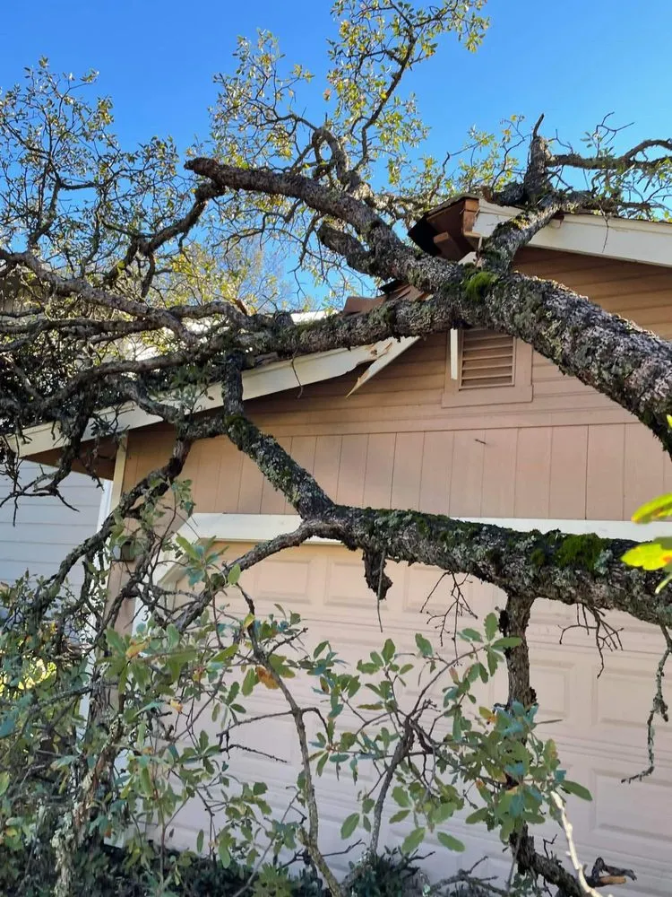 Affordable yard cleanup service in Lower Lake, CA by Teixeira & Sons Fire Prevention Company