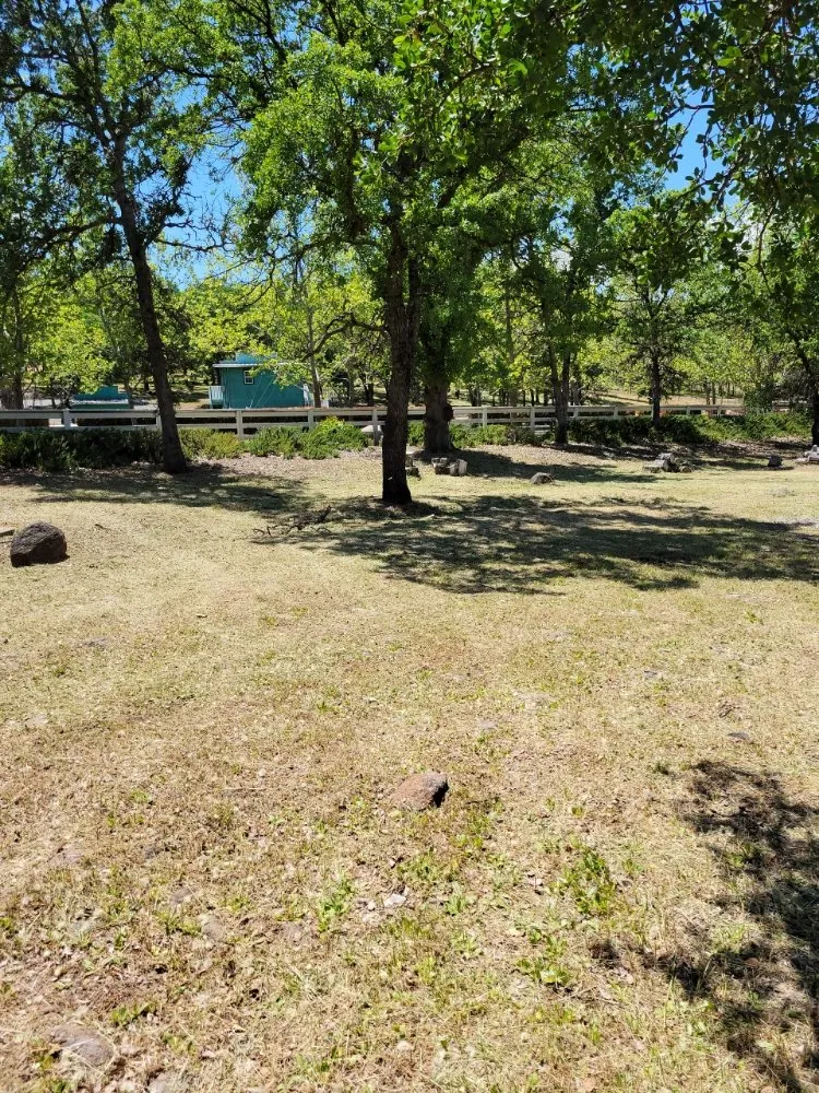 Local lawn mowing service for outdoor upgrades across Lower Lake, CA - Teixeira & Sons Fire Prevention Company