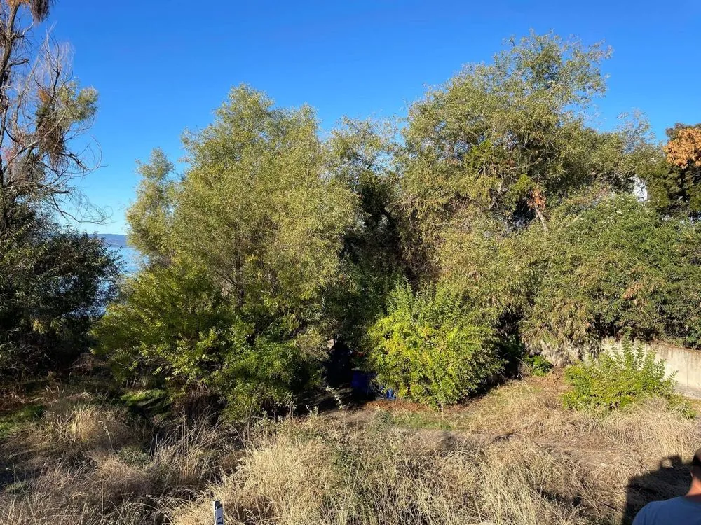 Expert yard maintenance for outdoor upgrades in Lower Lake, CA by Teixeira & Sons Fire Prevention Company