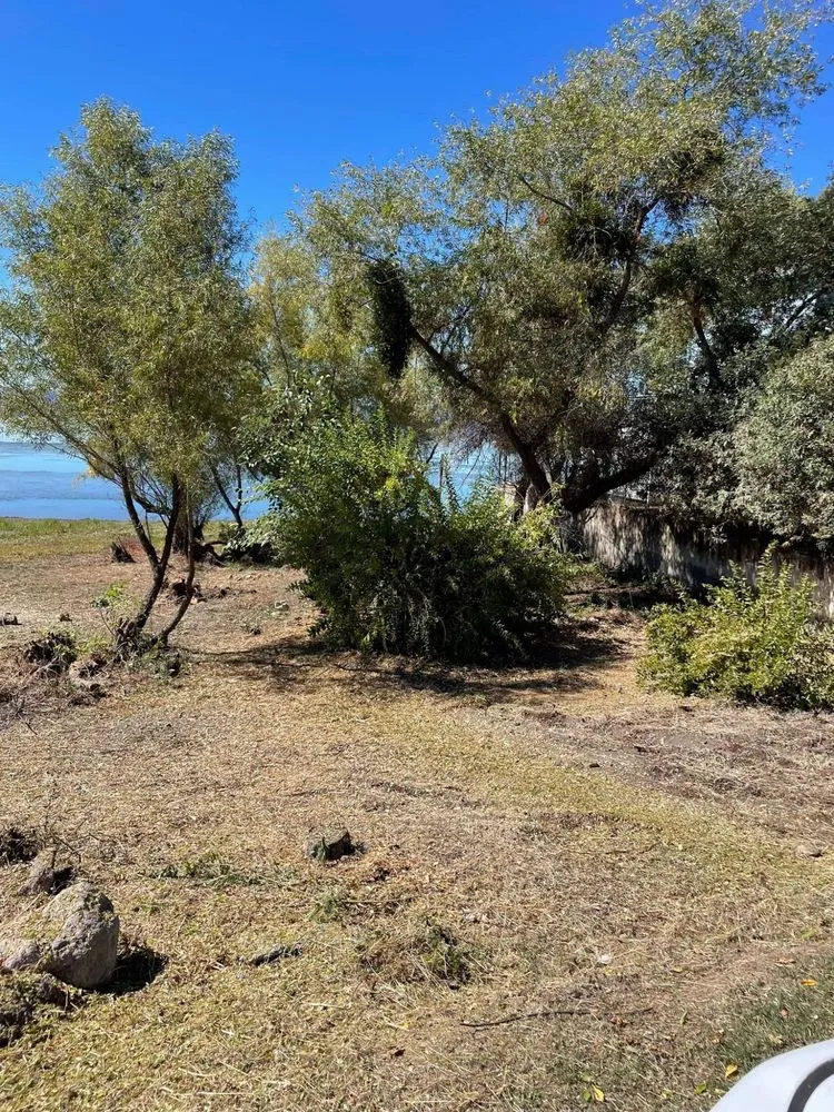 Expert lawn care service experts serving Lower Lake, CA - Teixeira & Sons Fire Prevention Company