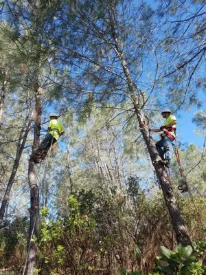 Teixeira & Sons Fire Prevention Company