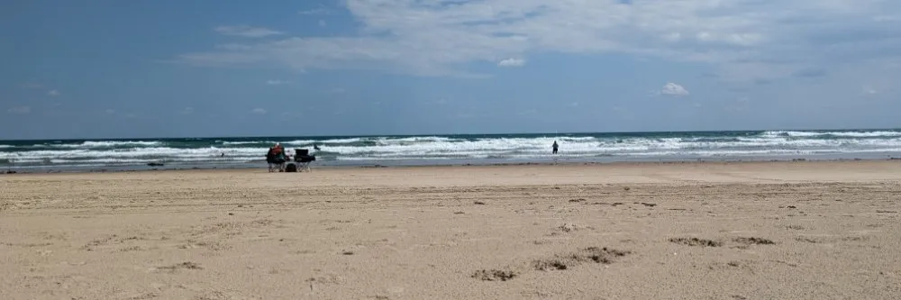 Professional landscape design in Brenham, TX - Tejas Home & Lawn Services