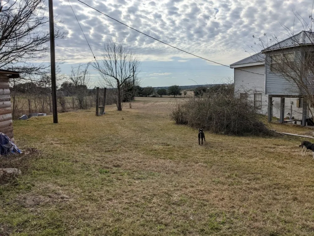 Professional outdoor landscaping in Brenham, TX - Tejas Home & Lawn Services