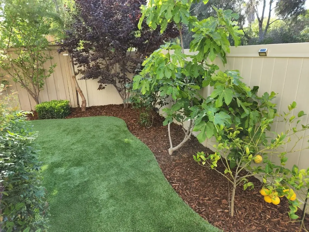 Local landscape design in Simi Valley, CA by Tejas Lawn Care