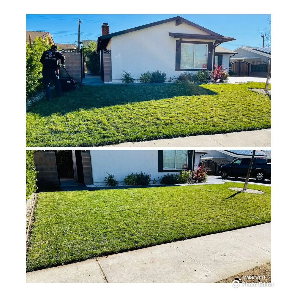 Affordable yard maintenance for outdoor upgrades in Simi Valley, CA by Tejas Lawn Care