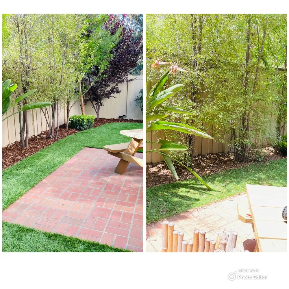 Professional residential landscaping experts serving Simi Valley, CA - Tejas Lawn Care