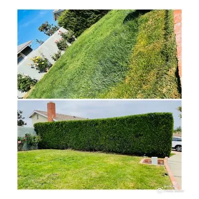 Tejas Lawn Care Logo