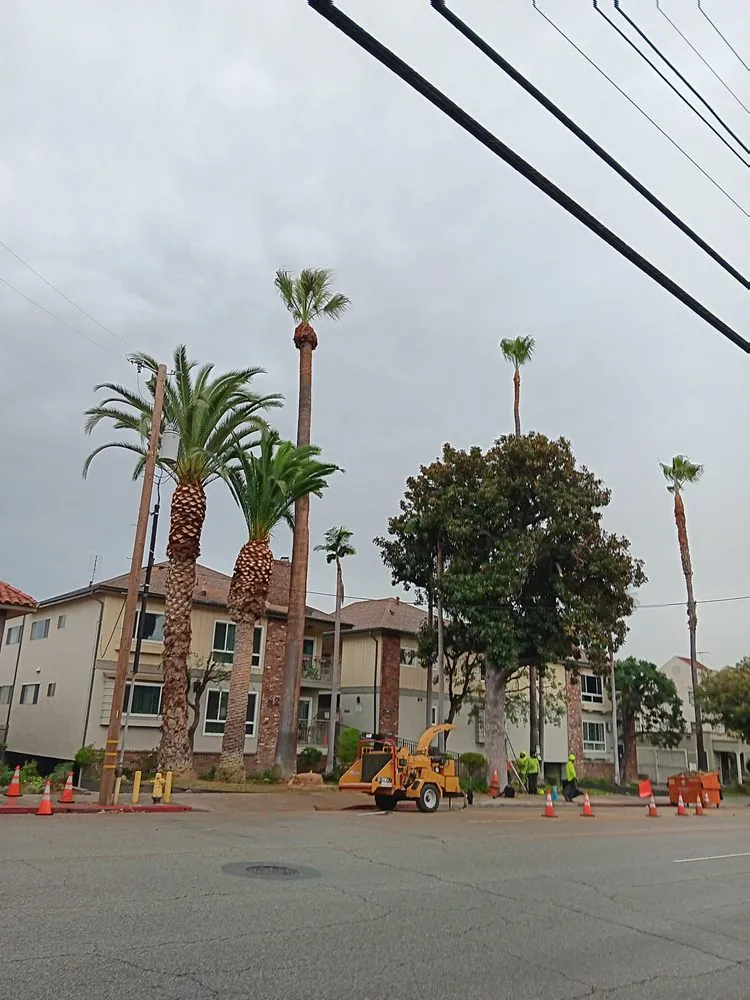 Custom outdoor landscaping experts serving Compton, CA - Tejeda's Tree & Landscaping Services