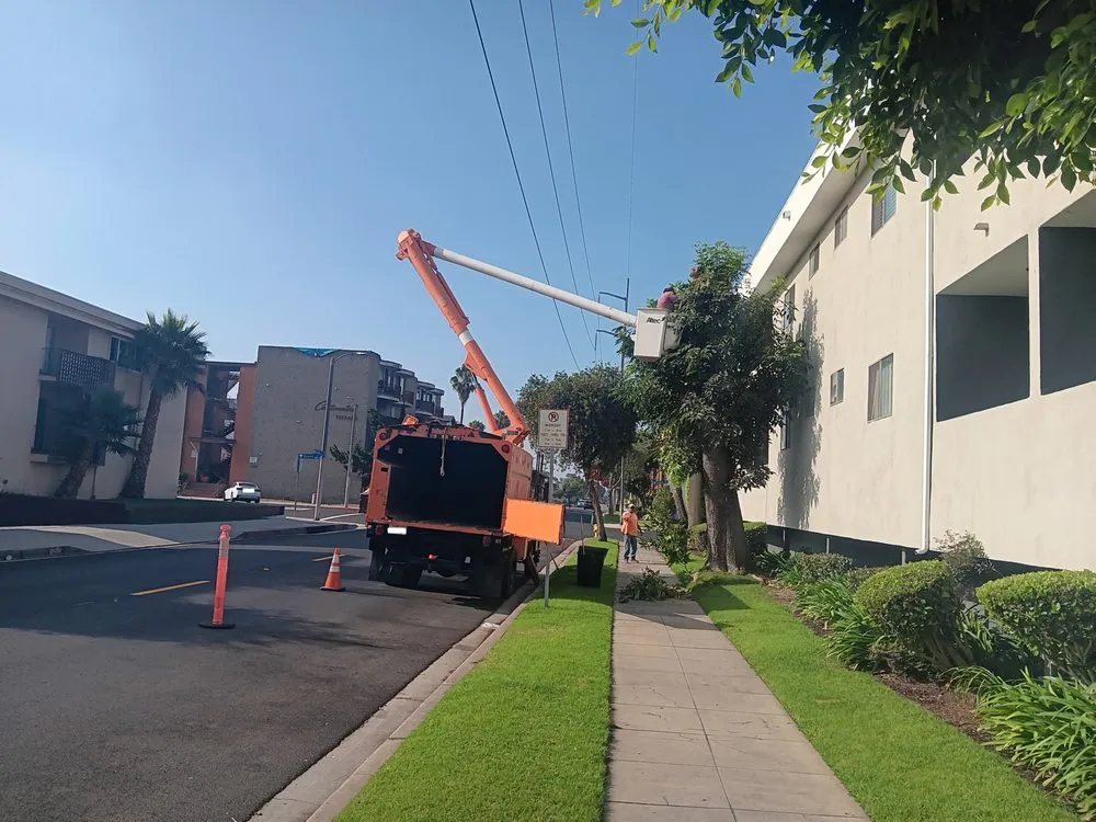 Local lawn mowing service with custom design in Compton, CA by Tejeda's Tree & Landscaping Services