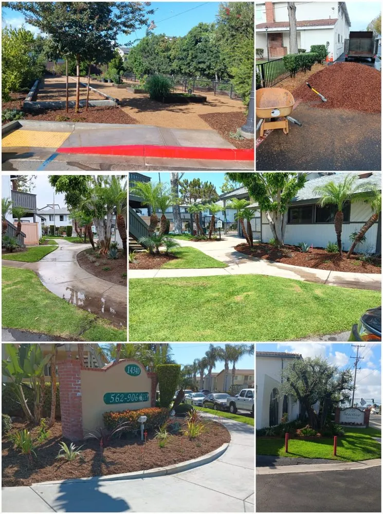 Affordable landscaping services with custom design in Compton, CA by Tejeda's Tree & Landscaping Services