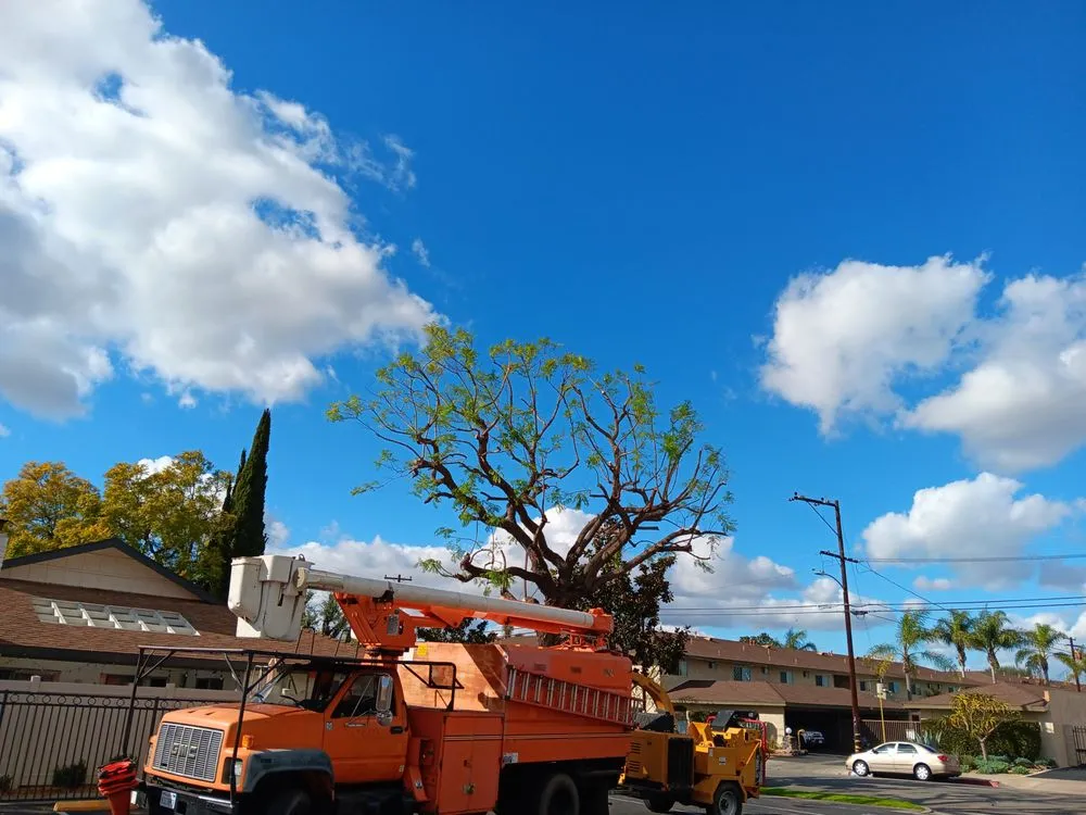 Professional lawn care service in Compton, CA by Tejeda's Tree & Landscaping Services