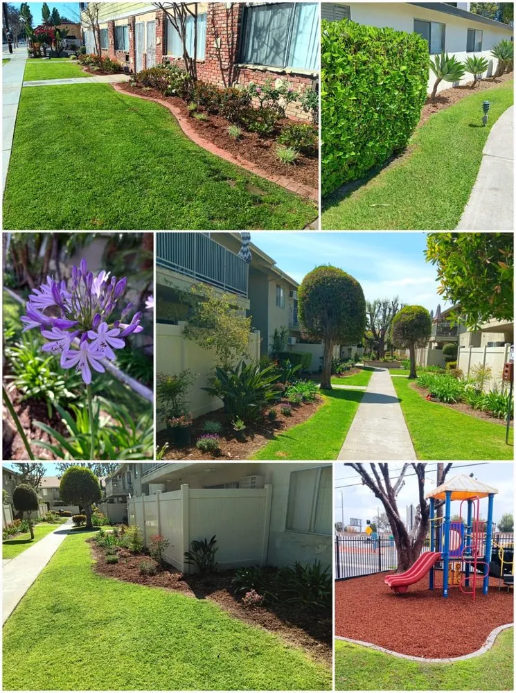 Trusted garden landscaping in Compton, CA - Tejeda's Tree & Landscaping Services