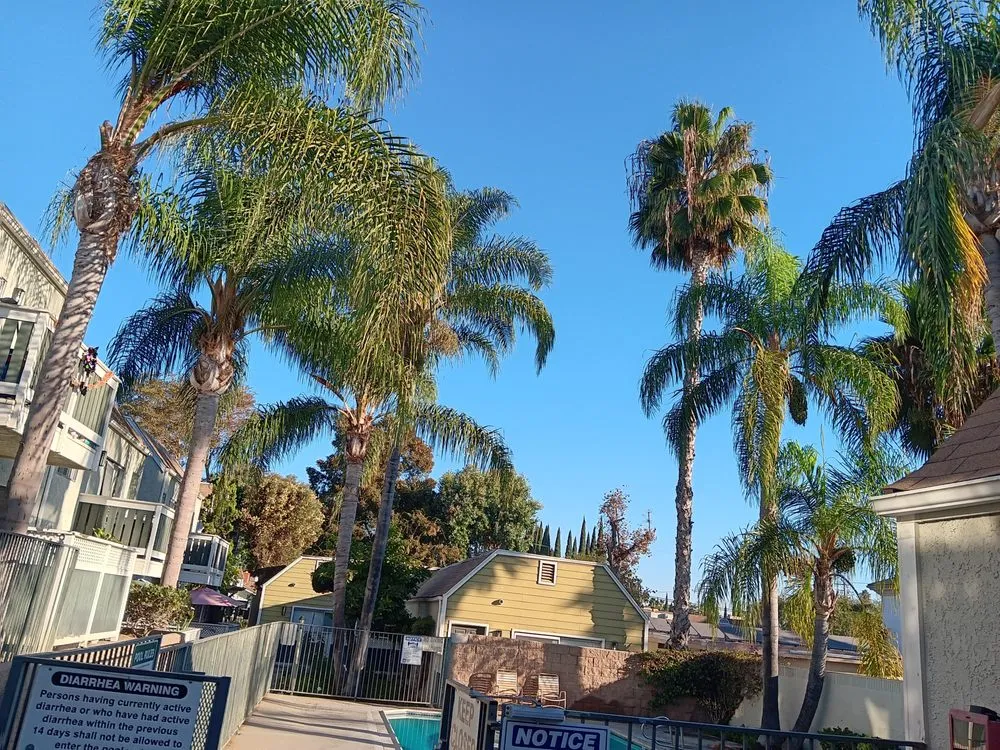 Affordable yard maintenance in Compton, CA - Tejeda's Tree & Landscaping Services