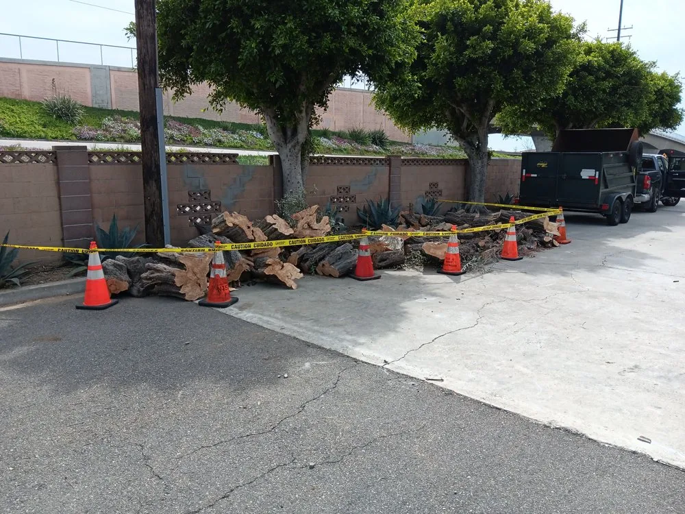 Custom garden landscaping for residential properties in Compton, CA by Tejeda's Tree & Landscaping Services