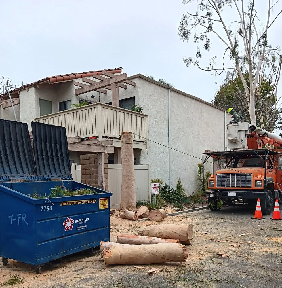 Professional outdoor landscaping in Compton, CA - Tejeda's Tree & Landscaping Services