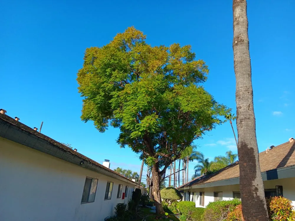 Custom outdoor landscaping experts serving Compton, CA - Tejeda's Tree & Landscaping Services