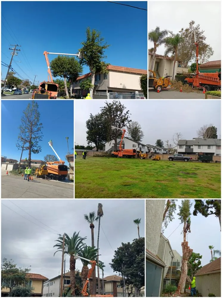 Expert garden landscaping for residential properties across Compton, CA - Tejeda's Tree & Landscaping Services