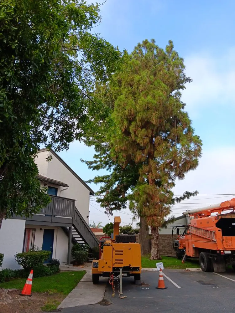 Affordable landscaping services in Compton, CA - Tejeda's Tree & Landscaping Services