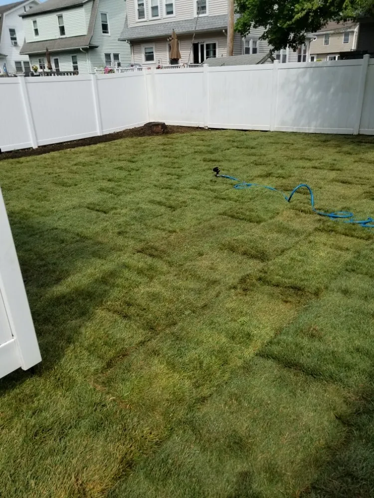 Affordable lawn care service in Revere, MA by Tekko's Landscaping
