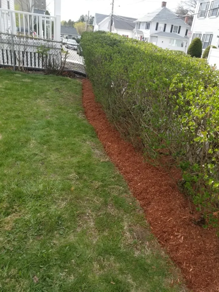 Professional lawn care service experts serving Revere, MA - Tekko's Landscaping