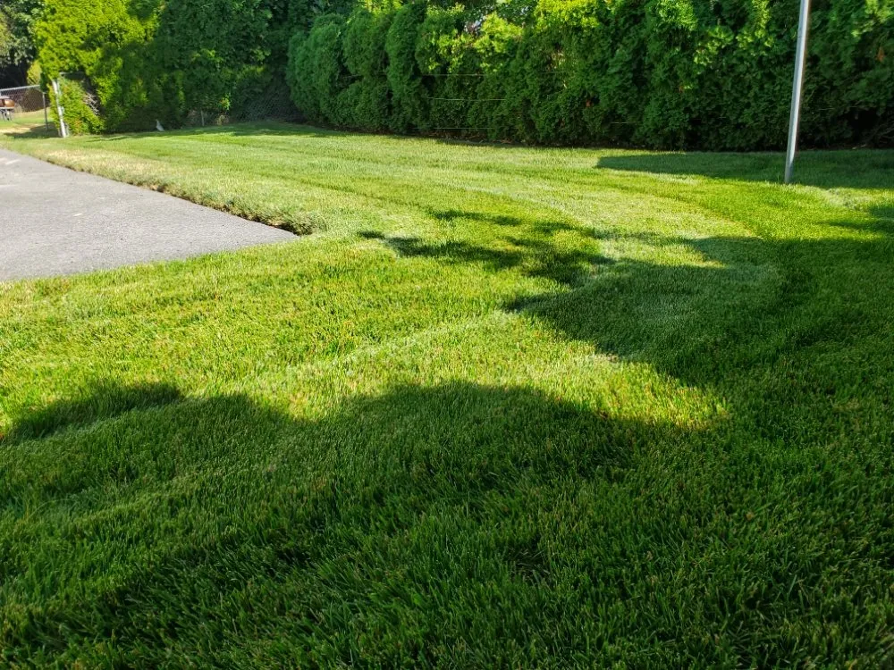 Top-rated landscape design experts serving Revere, MA - Tekko's Landscaping